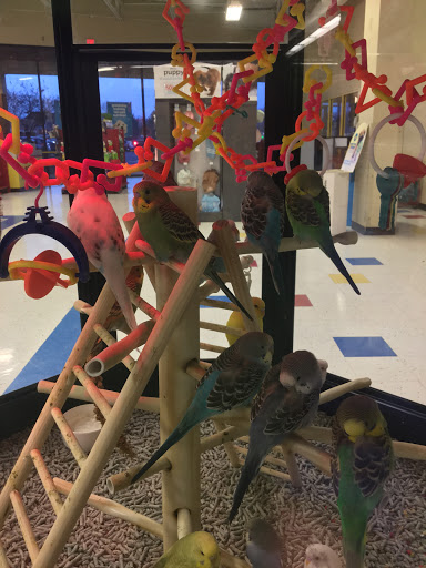 Pet Supply Store «Petco Animal Supplies», reviews and photos, 13053 Lee Jackson Memorial Hwy b, Fairfax, VA 22033, USA