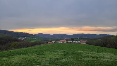 Barrandeia à Juxue