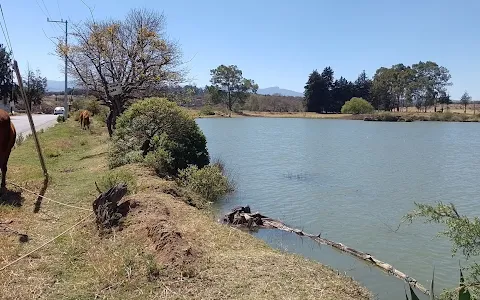 Laguna de Santa Catarina image