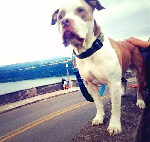 Historical Place «Vista House», reviews and photos, 40700 Historic Columbia River Hwy, Corbett, OR 97019, USA