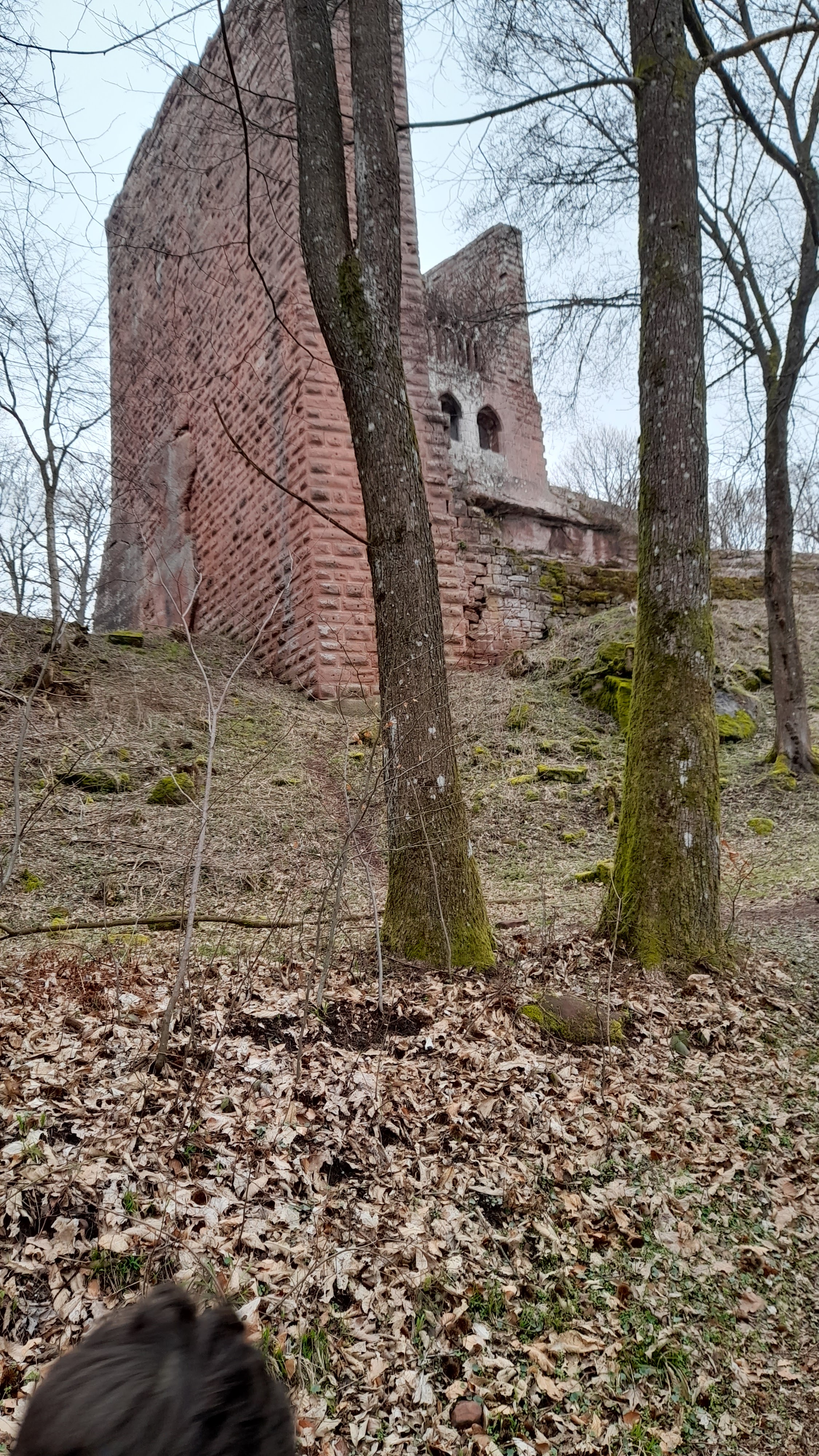 Photo n° 3 de l'avis de NoKurzTif.i fait le 17/03/2022 à 12:37