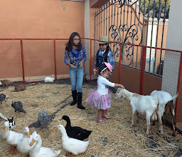 Los Olivos Park photo