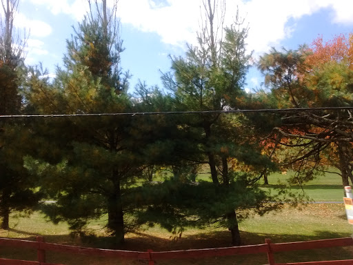 Golf Course «Mountain Glen Golf Club», reviews and photos, 1 Club house Dr, Newland, NC 28657, USA