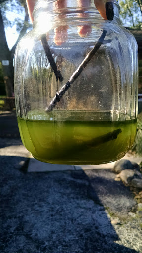 Auto Repair Shop «Hi-Tech Automotive», reviews and photos, 19350 La Grange Rd, Mokena, IL 60448, USA