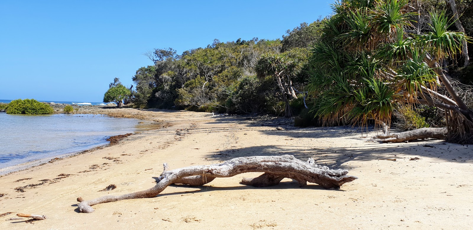 Photo de Diggers Camp Beach avec un niveau de propreté de très propre