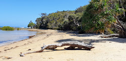 Photo de Diggers Camp Beach avec un niveau de propreté de très propre