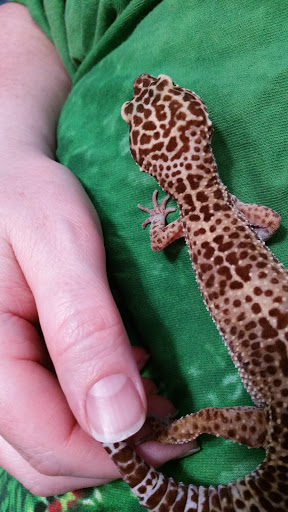 Pet Store «Olathe Pet Shop», reviews and photos, 16651 151st St, Olathe, KS 66062, USA