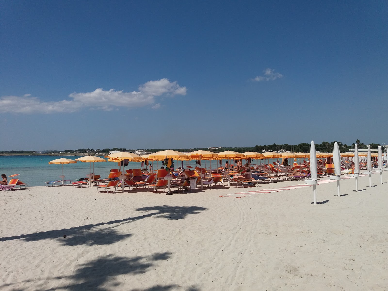 Spiaggia di Sant'Isidoro'in fotoğrafı plaj tatil beldesi alanı