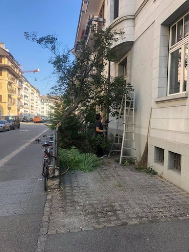 Rezensionen über VL Hauswartung in Aarau - Hausreinigungsdienst