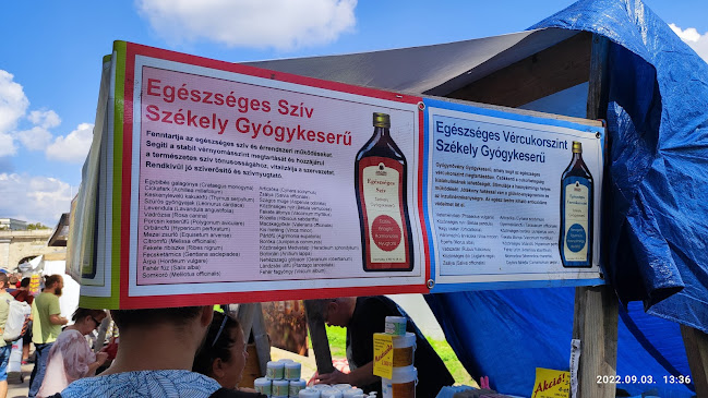 Szeged, Huszár Mátyás rkp., 6720