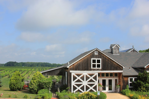 Winery «Paumanok Vineyards», reviews and photos, 1074 Main Rd, Aquebogue, NY 11931, USA