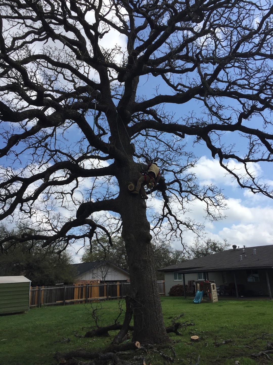Gils Tree Services