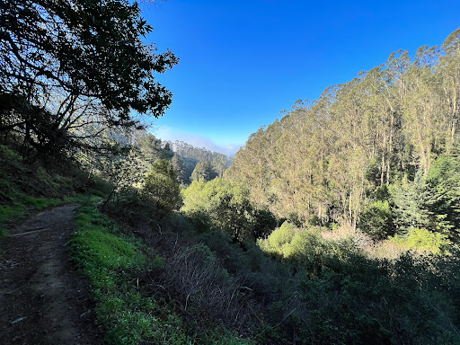 Sequoia Bayview Trail Trailhead