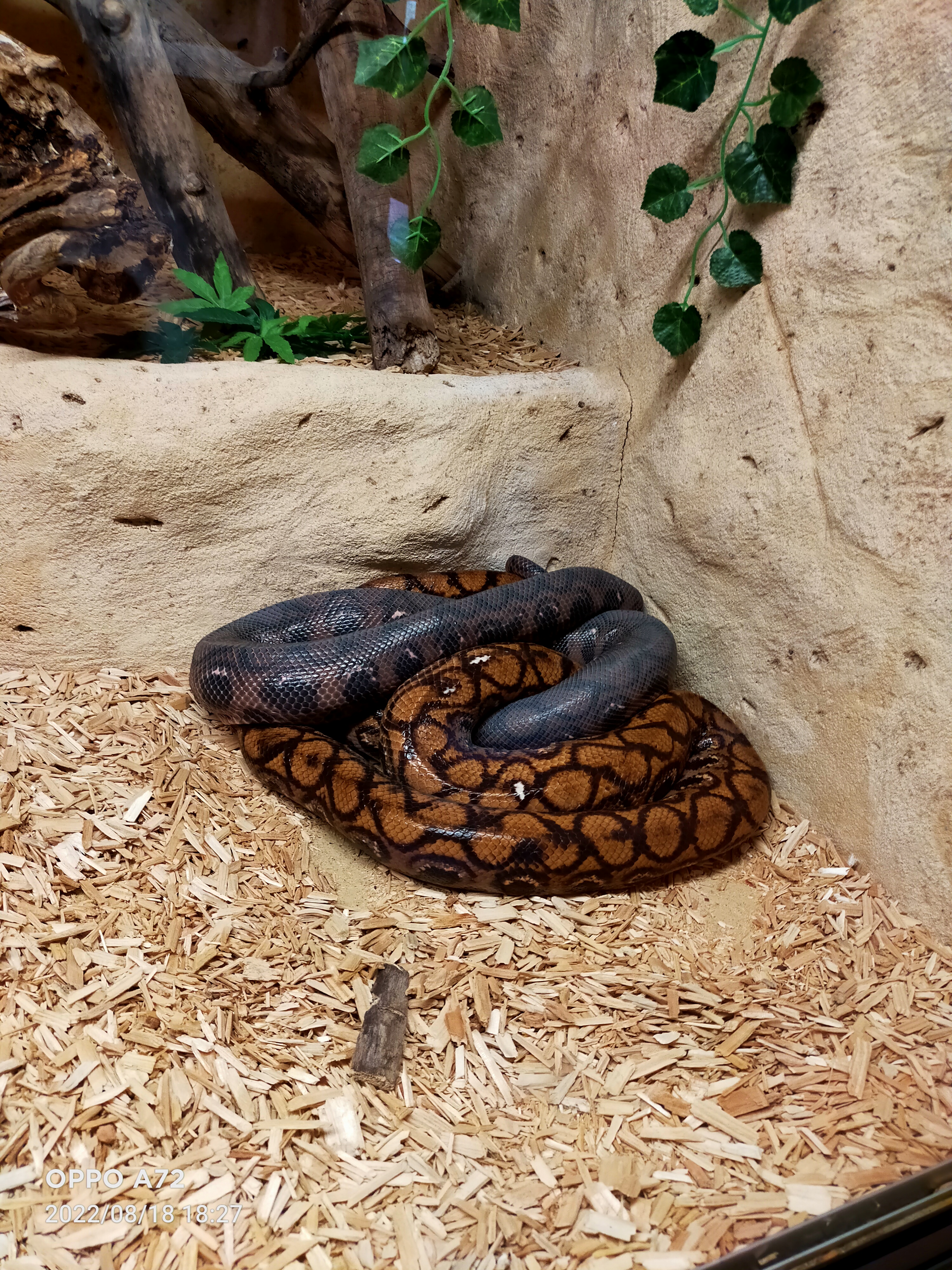 Photo n° 7 de l'avis de Laëtitia.o fait le 19/08/2022 à 08:13