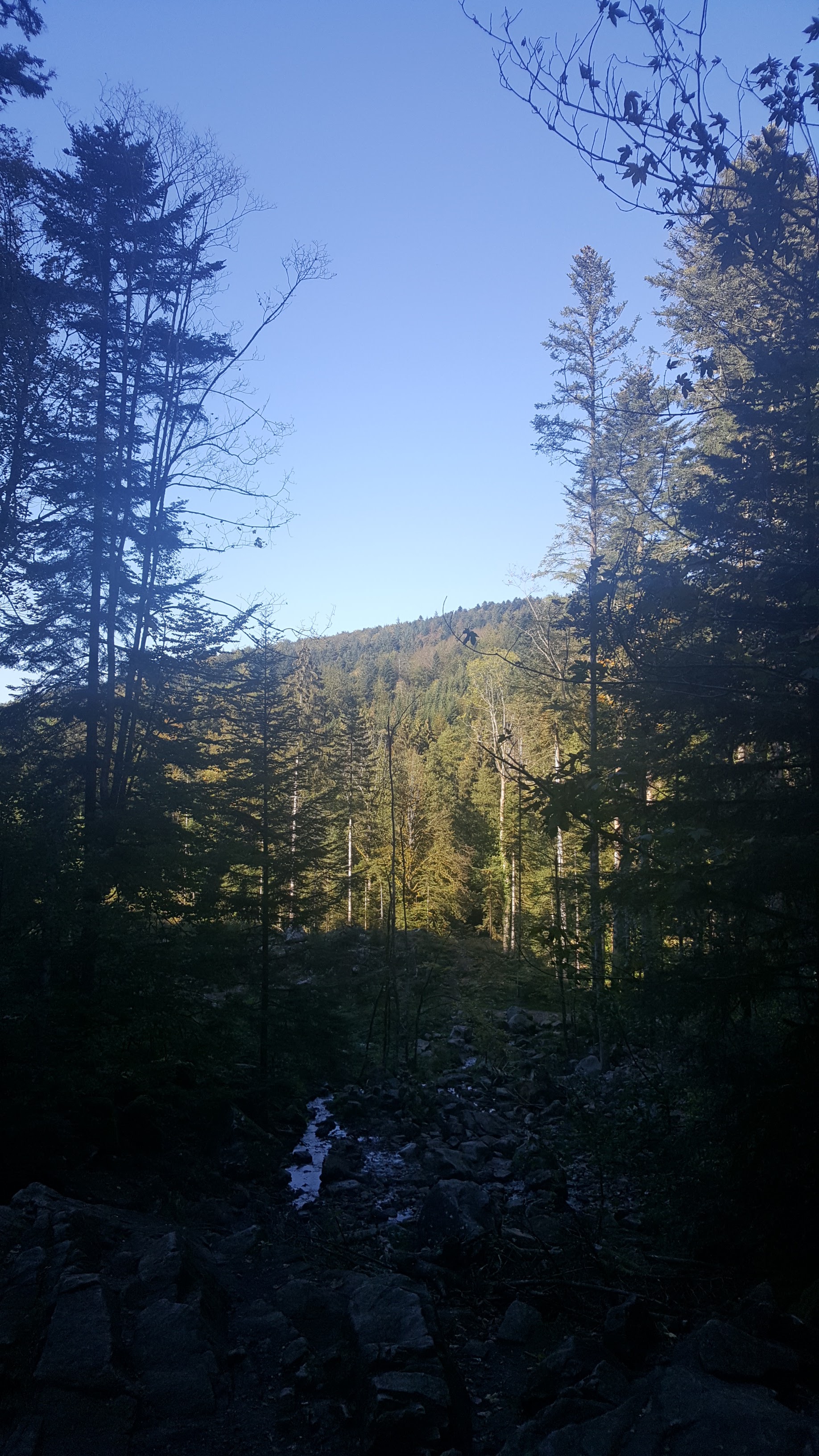 Photo n° 3 de l'avis de Léa. fait le 17/10/2018 à 10:52