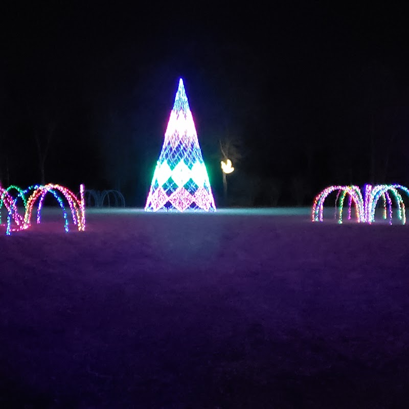 Garden Of Lights