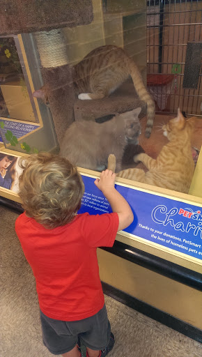 Pet Supply Store «PetSmart», reviews and photos, 26532 Towne Centre Dr, Foothill Ranch, CA 92610, USA