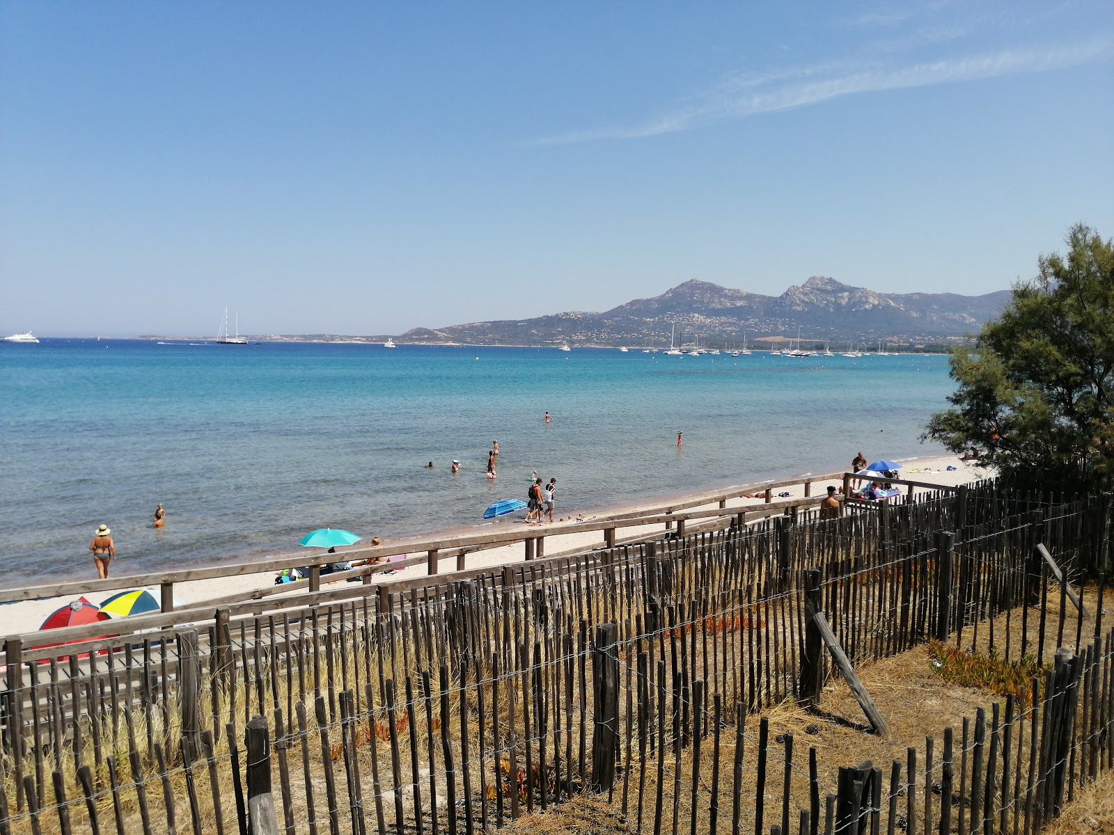 Foto von Calvi beach mit tolle buchten