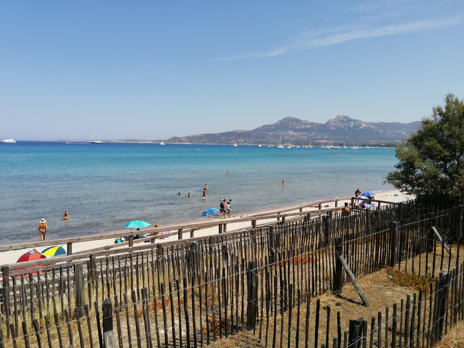 Photo de Calvi beach avec un niveau de propreté de très propre