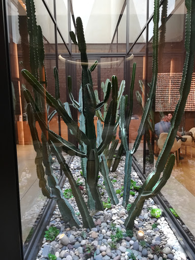 Coffee Shop «Nespresso Beverly Hills Boutique & Cafe», reviews and photos, 320 N Beverly Dr, Beverly Hills, CA 90210, USA