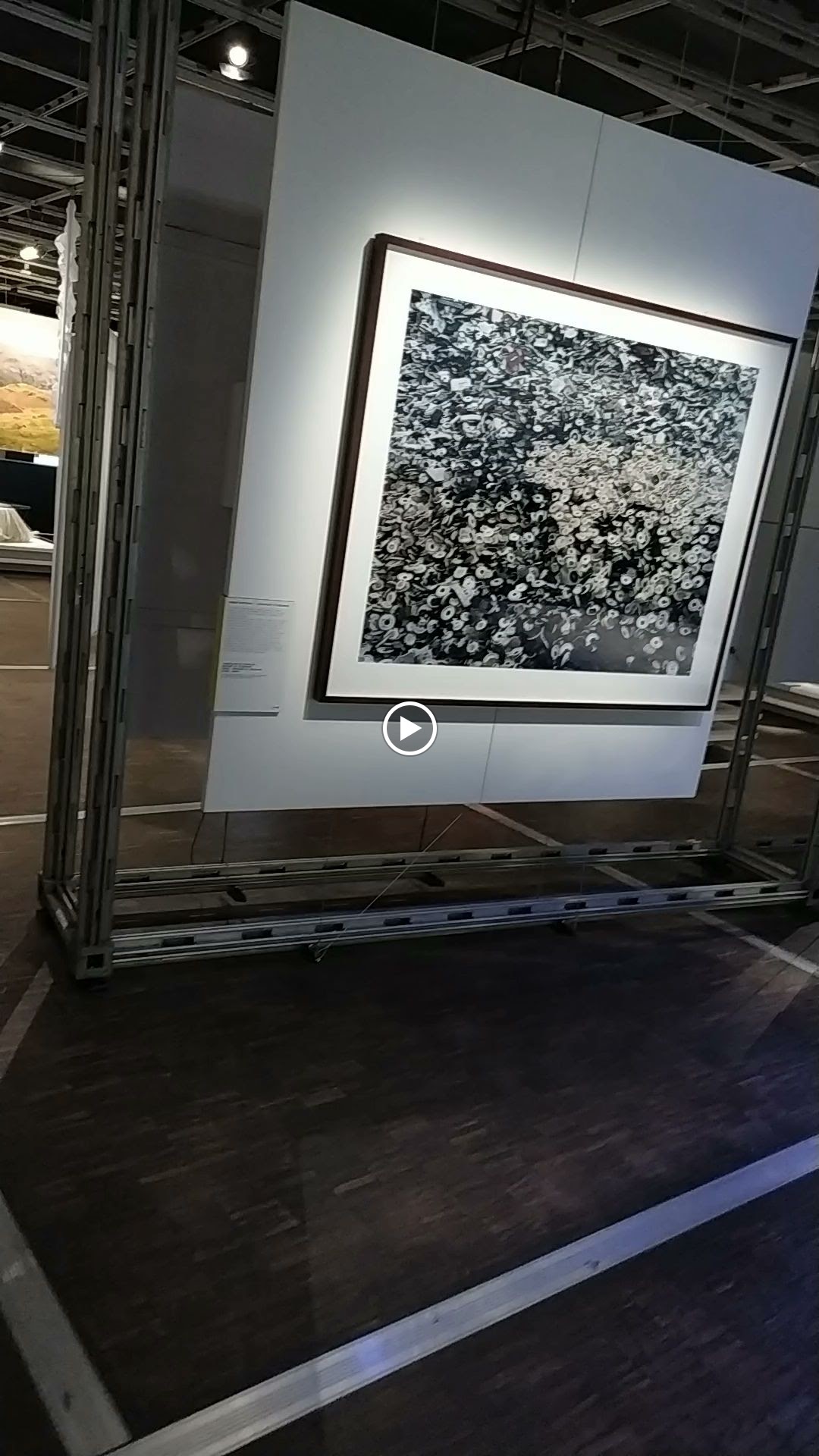 Photo n° 3 de l'avis de Cyanopsie.E fait le 14/01/2024 à 21:11