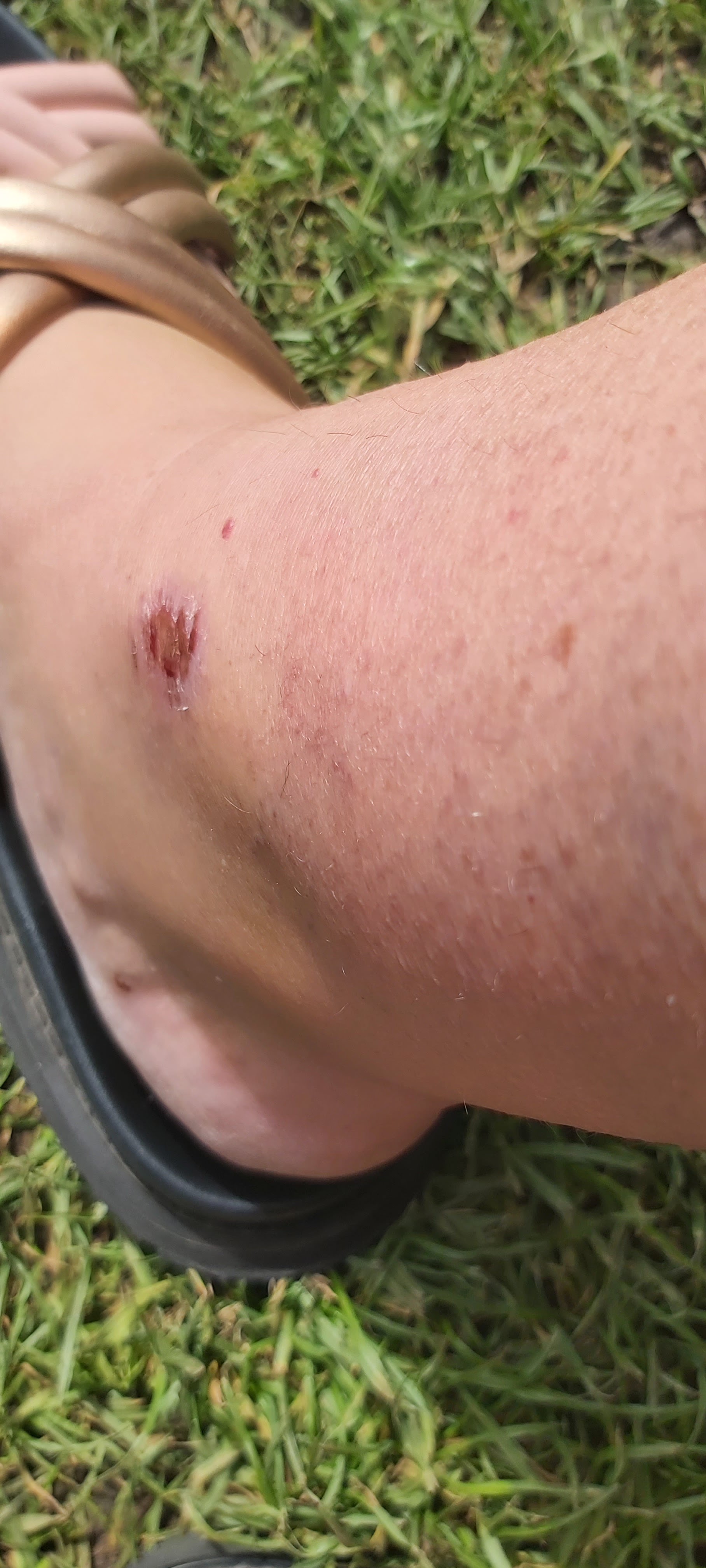 Photo n° 1 de l'avis de Bev.e fait le 30/07/2023 à 15:24