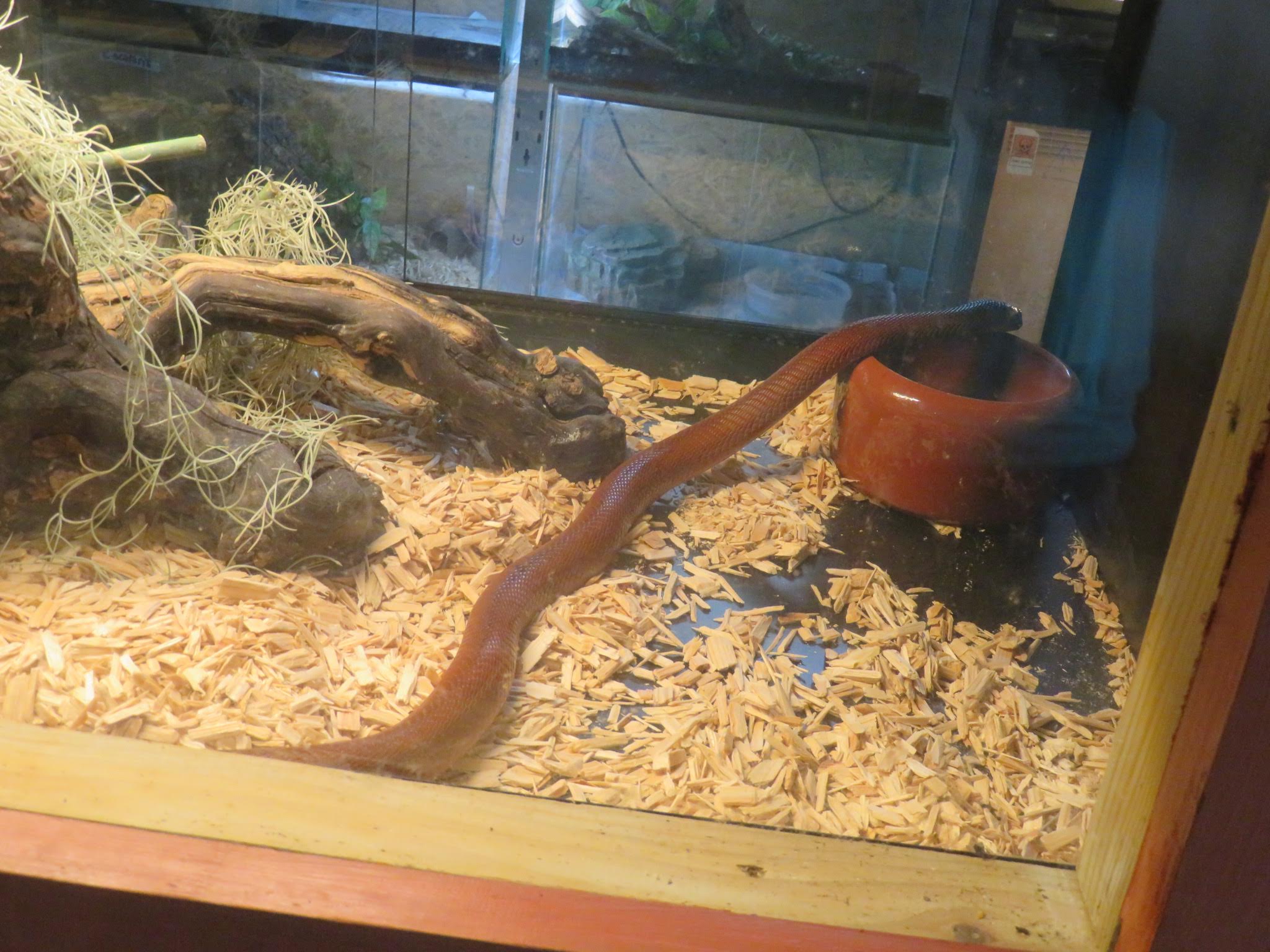 Photo n° 7 de l'avis de Joelle.o fait le 19/07/2019 à 12:55