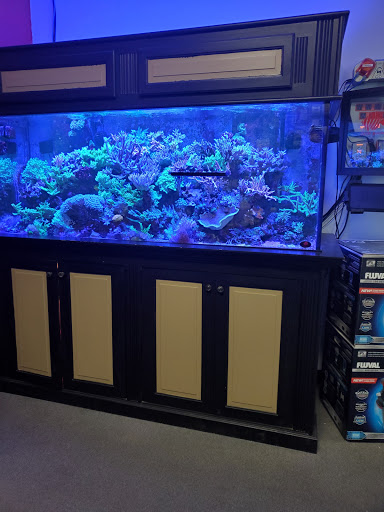 Tropical Fish Store «OCD Reefs», reviews and photos, 4220 2100 S, Salt Lake City, UT 84120, USA