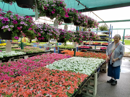 Shopping Mall «Southern Artery Shopping Center», reviews and photos, 543 Southern Artery, Quincy, MA 02169, USA