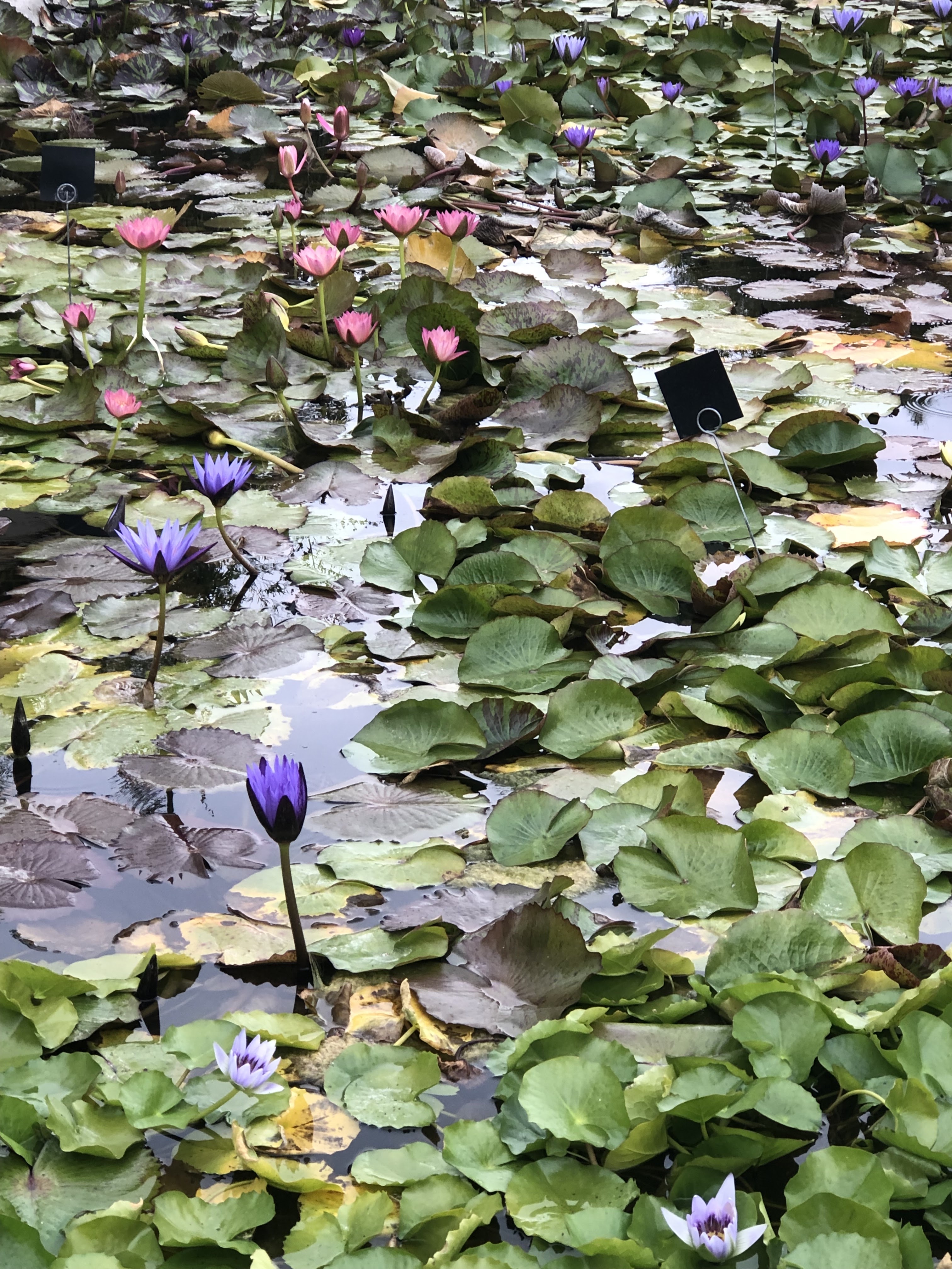 Photo n° 6 de l'avis de Helene.h fait le 24/09/2022 à 16:38