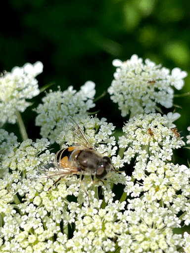 Produce Market «Race Farm», reviews and photos, 87 Belcher Rd, Blairstown, NJ 07825, USA