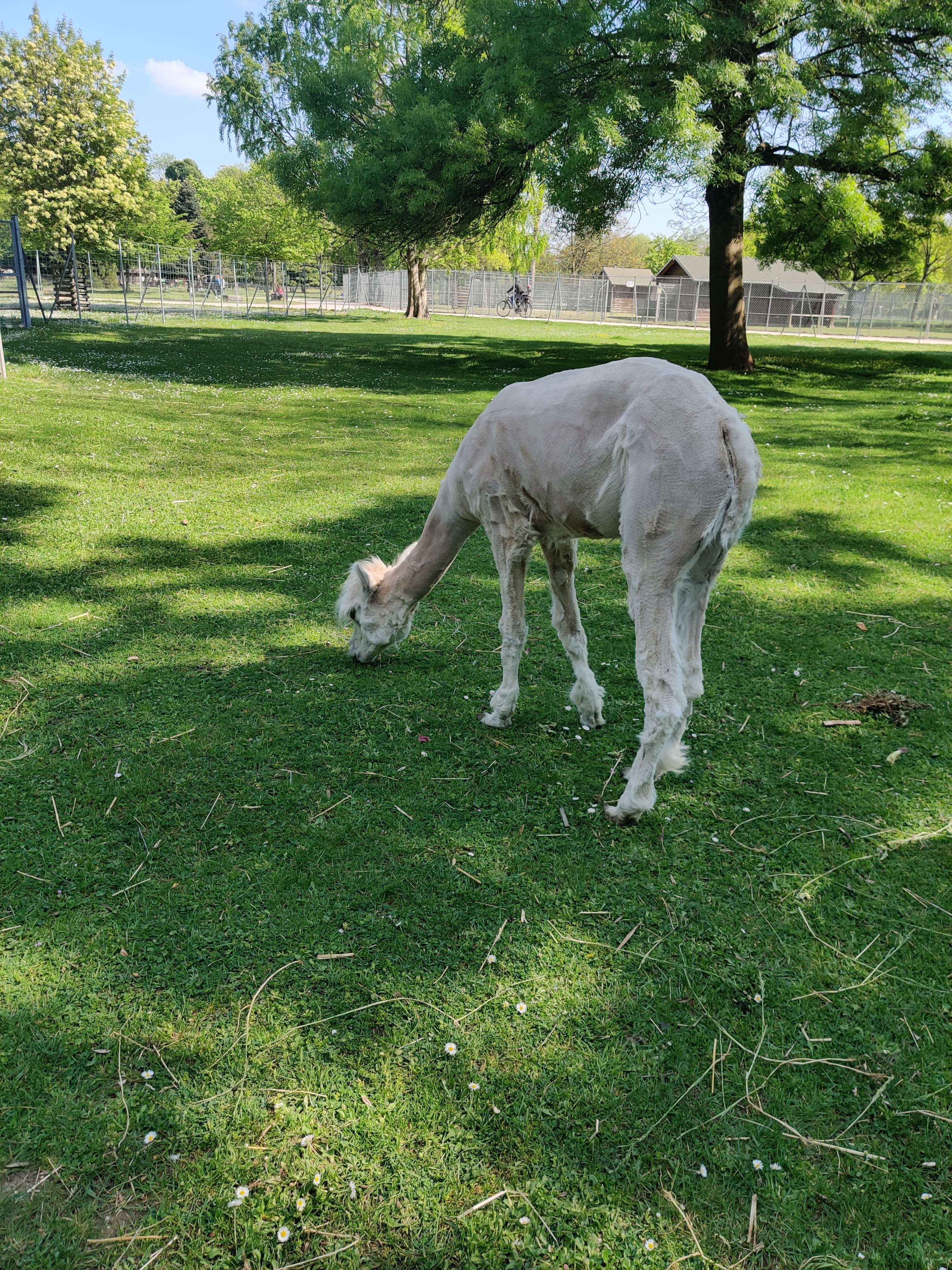 Photo n° 9 de l'avis de Carole.r fait le 01/05/2022 à 15:15