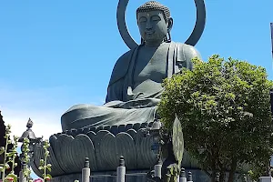 The Great Buddha Of Takaoka image