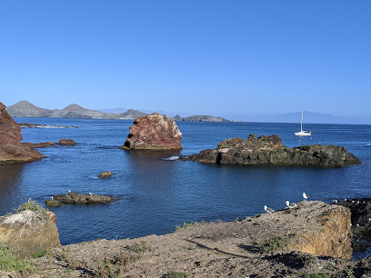 Islas de San Benito