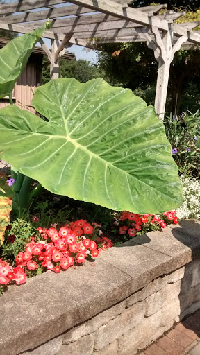 Dog Park «Thomas Bull Memorial Park», reviews and photos, 211 New York 416, Montgomery, NY 12549, USA