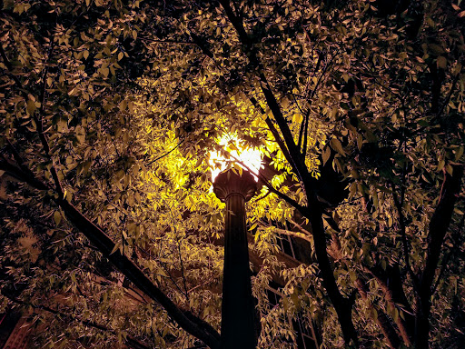 Live Music Venue «The Meatlocker», reviews and photos, 8 Park St, Montclair, NJ 07042, USA