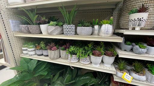 Discount Store «Big Lots», reviews and photos, 10 Newbury St #5, Danvers, MA 01923, USA