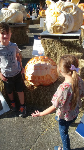 Pet Supply Store «Petco Animal Supplies», reviews and photos, 675 Deis Dr i, Fairfield, OH 45014, USA