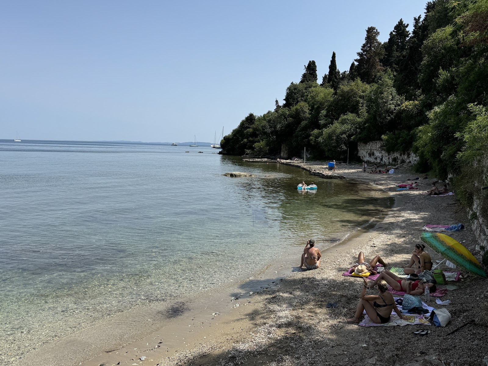 Mon Repos Beach photo #7