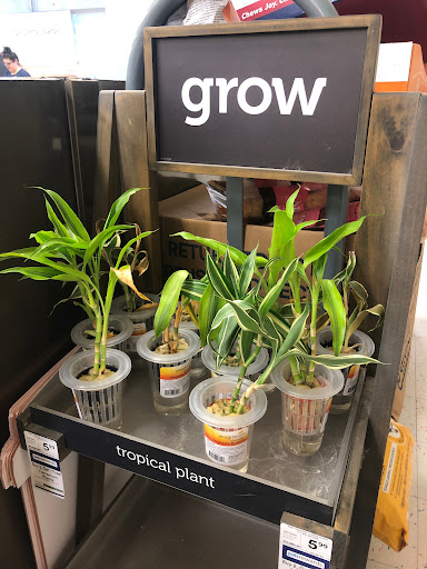 Book Store «Barnes & Noble», reviews and photos, 19401 Alderwood Mall Pkwy, Lynnwood, WA 98036, USA