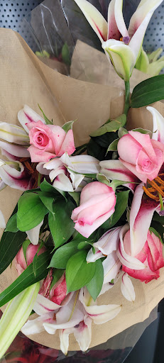 Grocery Store «Winn-Dixie», reviews and photos, 6257 US-1, Port St John, FL 32927, USA