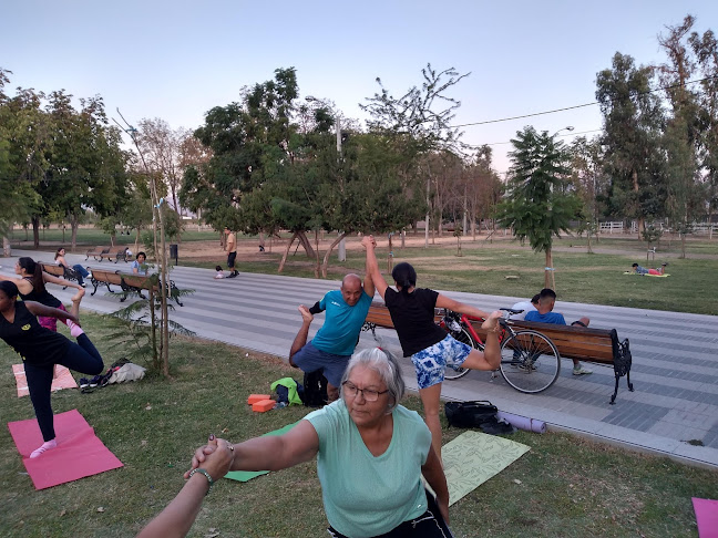 Opiniones de Parque Abel Bouchon en San Fernando - Centro de yoga