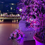 Photo n°5 de l'avis de Liam.u fait le 11/06/2023 à 18:57 sur le  Il Pianone à Bergamo