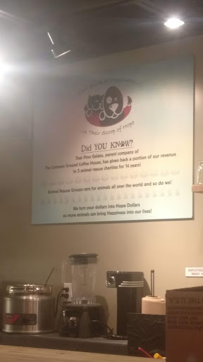 Coffee Shop «Common Ground Coffee House», reviews and photos, 102 W Street Ext, Beaufort, SC 29902, USA