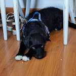 Photo n°1 de l'avis de Asdren.j fait le 11/08/2019 à 17:32 sur le  Hotel Sebino à Sarnico