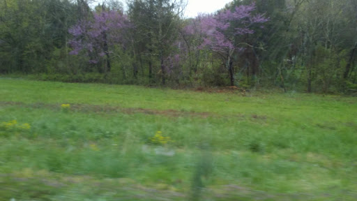 Donations Center «Goodwill», reviews and photos