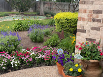 Green Ackors Landscaping & Irrigation - Photo 4 - Car repair in Woodway, TX, Waco