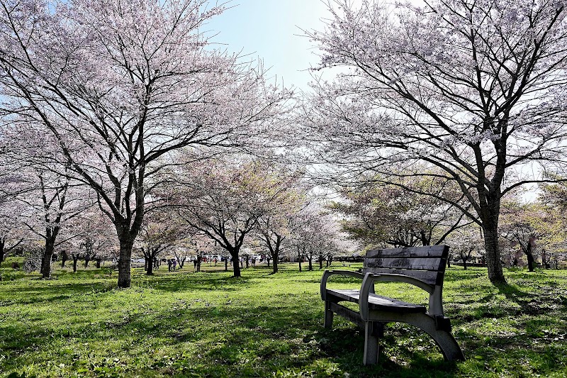 長湯温泉しだれ桜の里