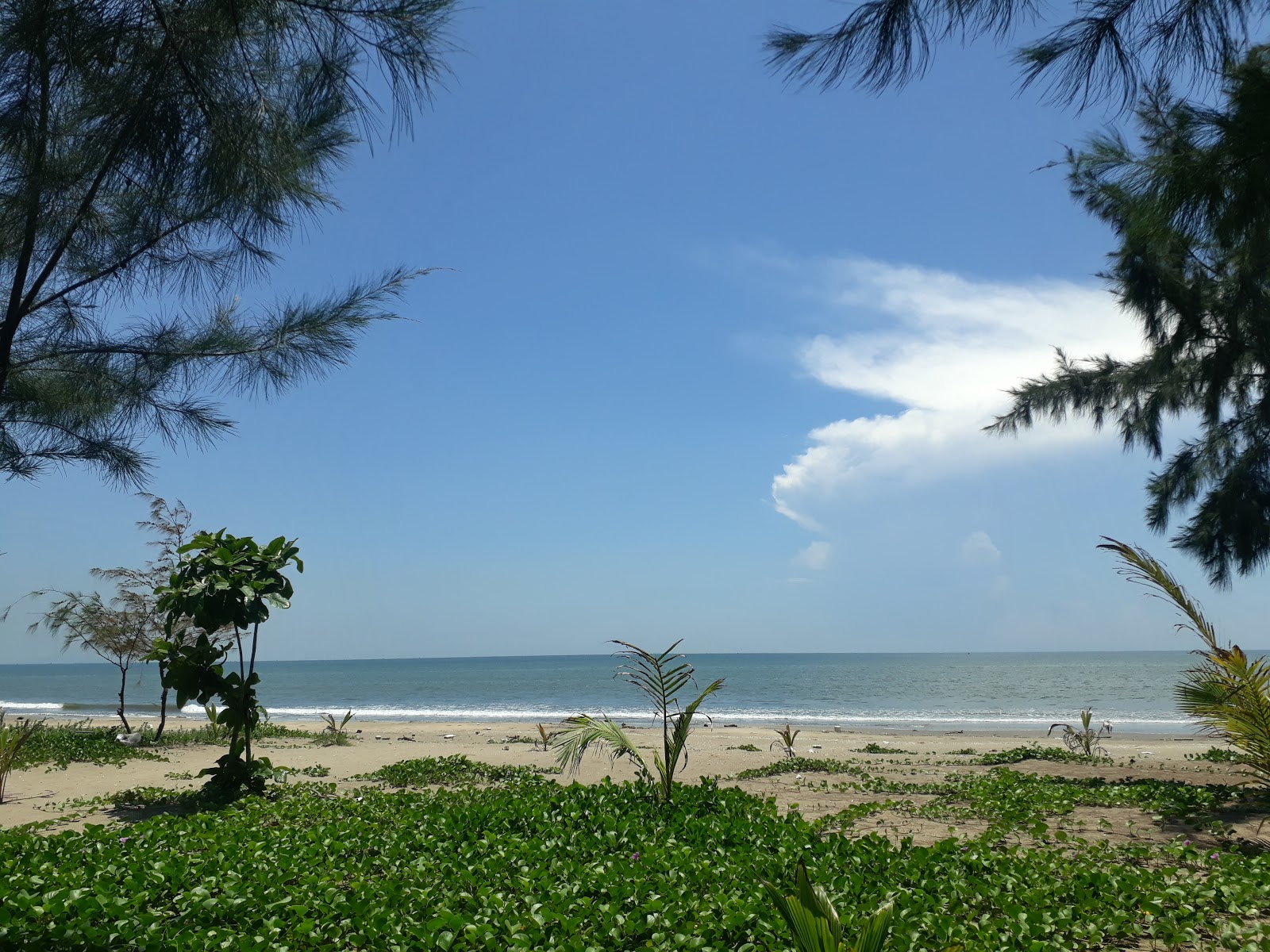 Foto de Quynh Bang Beach - lugar popular entre los conocedores del relax