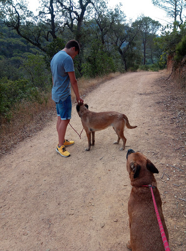 CAAS Tossa de Mar - Tossa de Mar